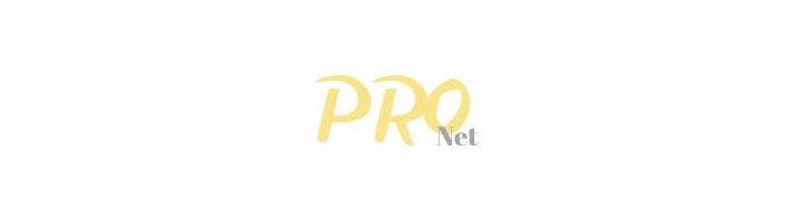 Pro Network Logo
